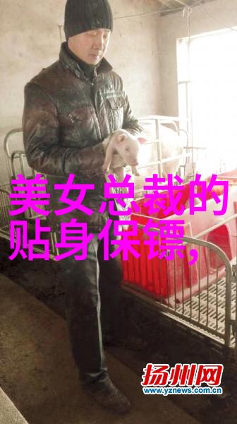 字体解码一键识别的未来世界
