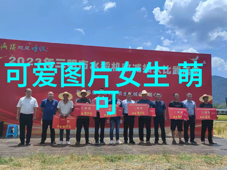 银屏上的璀璨探秘那些迷人眸光的女神