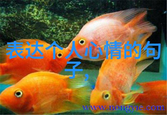 重生之超级巨星逆袭之路
