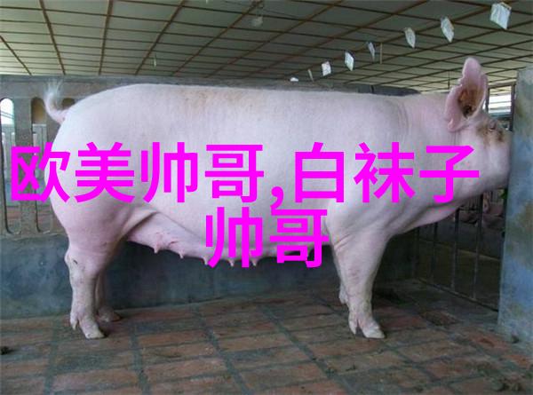 星光闪耀美女行红毯上的笑容与高跟鞋的奇遇