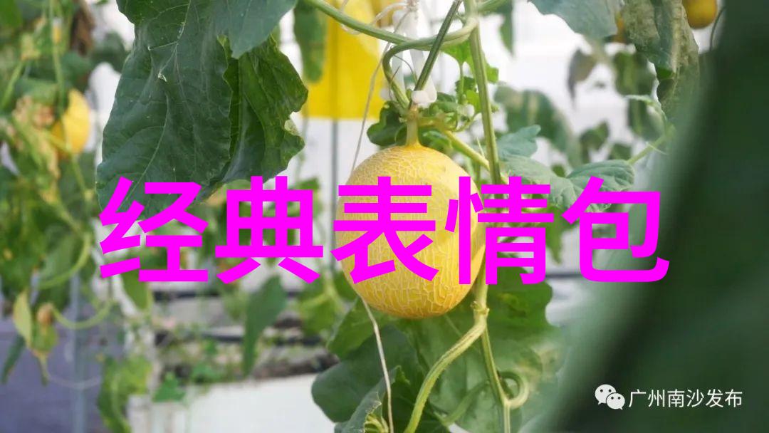李兰迪与张新成的浪漫轨迹情侣身份揭秘五行八卦运转图预示爱情风暴