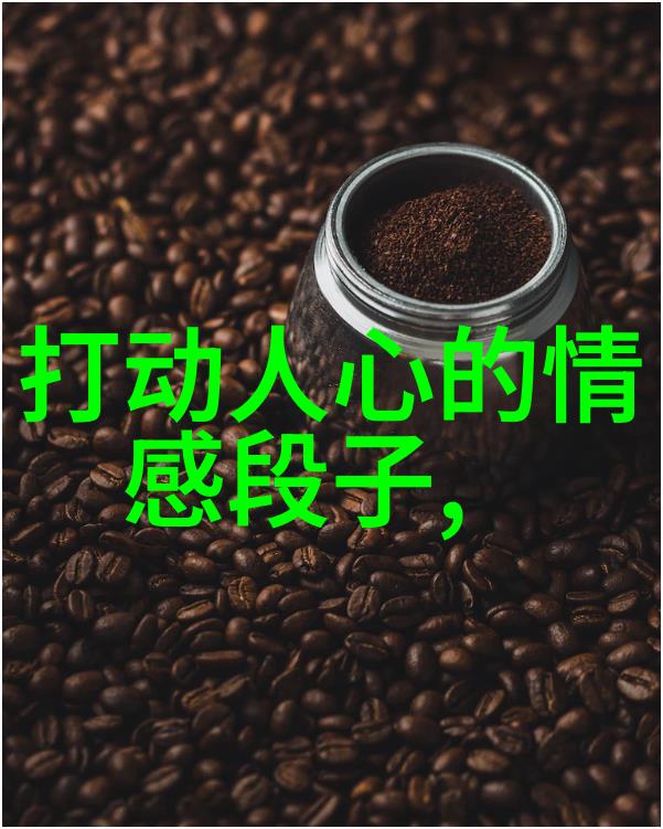 影视明星写真-肖战的时尚瞬间镜头下的魅力与真实