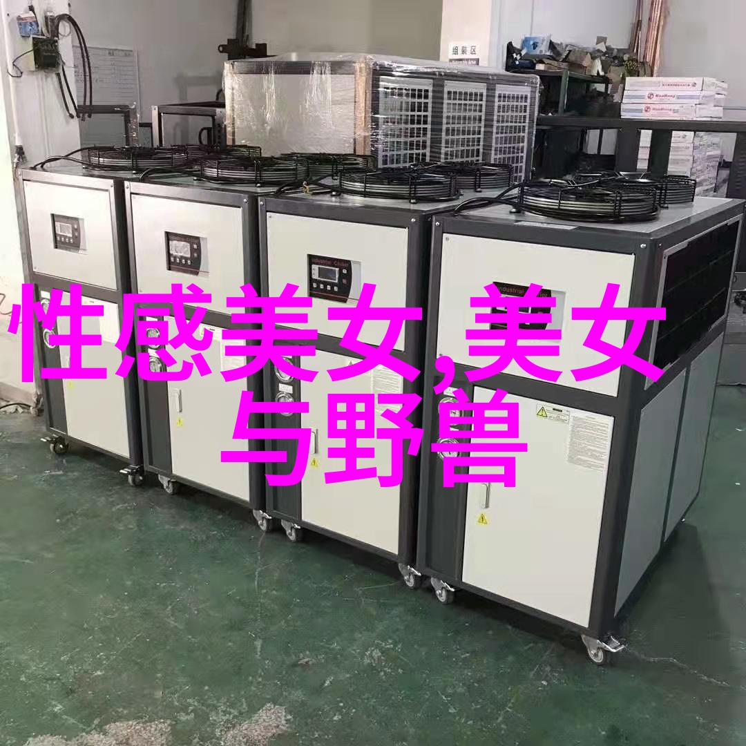 欢快可爱的歌曲轻盈旋律中的快乐游戏