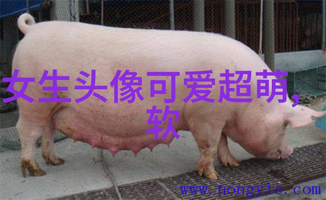 正能量早安问候语-晨曦中的祝福传递阳光般的正能量早安问候