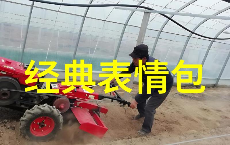 惊悚画廊十张最吓人的鬼图揭秘恐怖艺术的边界
