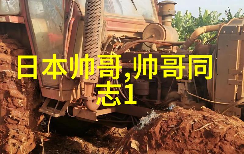 为何一个人要痴心不改像飞蛾扑火般霸气地活着