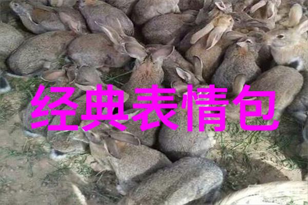 四位人物的交错篇章从互动到启示