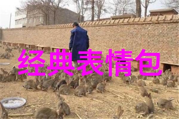 可爱卡通图片萌女孩-糖果屋里的魔法少女探秘卡通世界中的萌宠