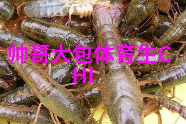 群聊的秘密符号QQ群二维码的故事