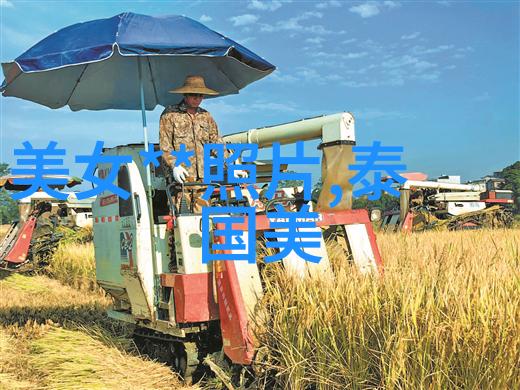 话题热度解读那些在社交平台上火遍全网的爆款 群组名称策略
