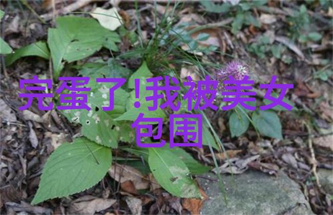 中国帅哥盛地探秘最美男子的省份之谜