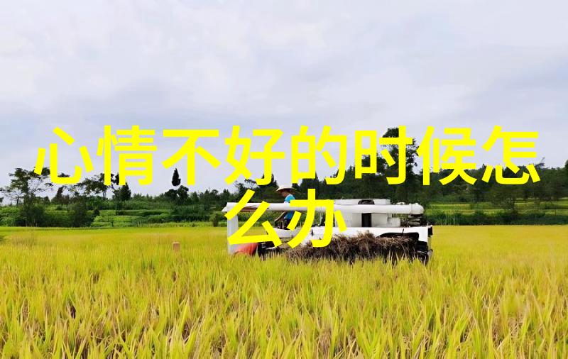 在幽暗的夜幕下哪十部鬼片能让你颤抖