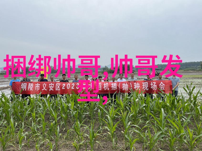网红苏乞儿因涉嫌违法驾驶遭广泛批评公众关注点转向其与王思聪的关系和雪梨扮演者的身份