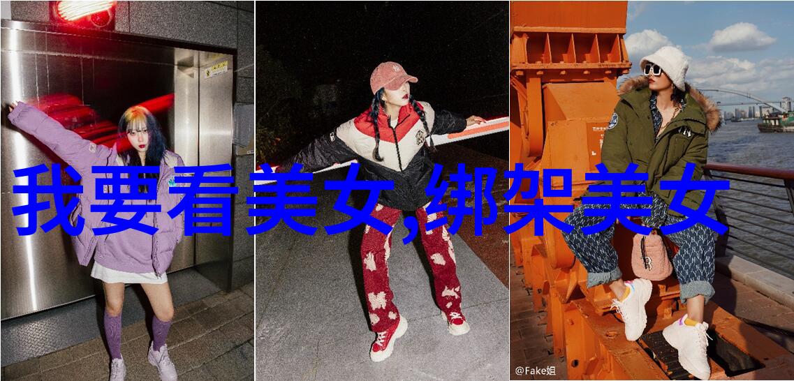 刘亦菲陈晓梦华录电视剧最好的我们讲述了在社会纷扰中寻找真爱与成长的故事预计将在不久后上映