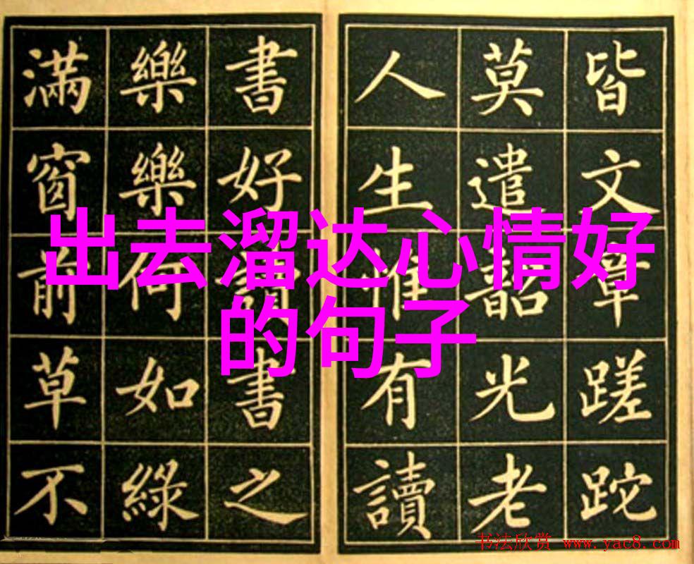 每天早晨的阳光精选日常起步金句