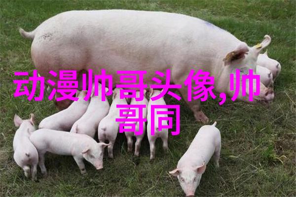 微信可爱女生头像简约风格下的萌宠魅力