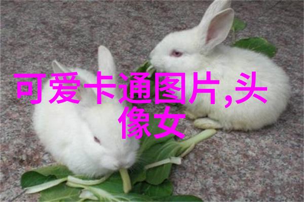 中国在12月有哪些传统节日庆祝