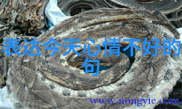 美女图-绚烂色彩中的美探索美女图画的艺术魅力
