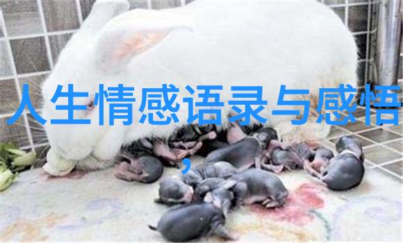 早晨的阳光带来温暖与希望的新篇章