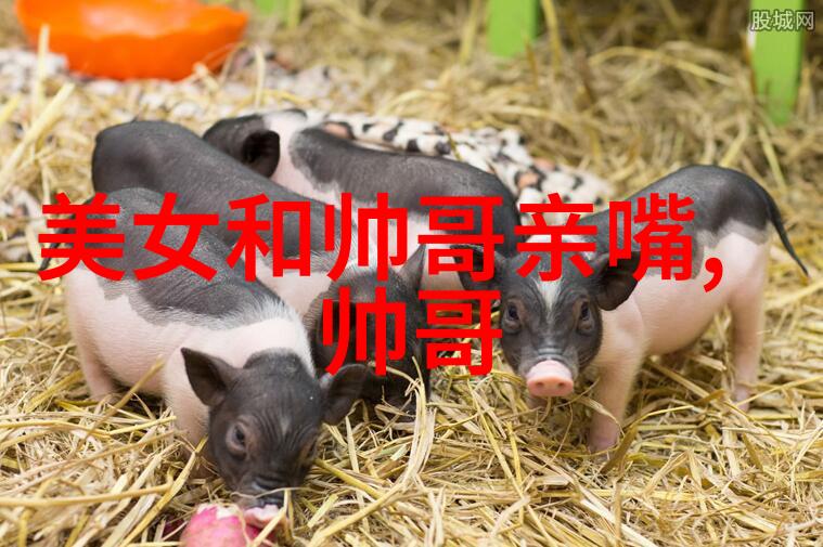 心情随笔抒写心情的诗意语言
