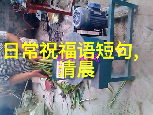 在制定个人或家庭的万圣节计划时我们应该如何利用这些时间表呢