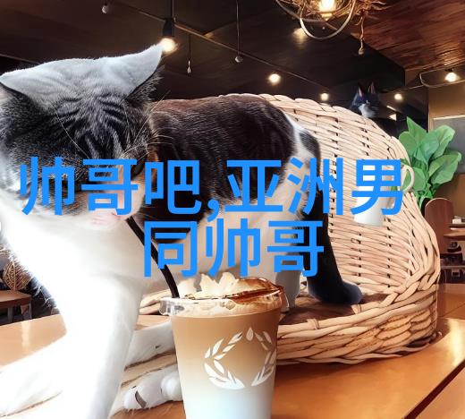 美女性感图片优雅的女性形象展示