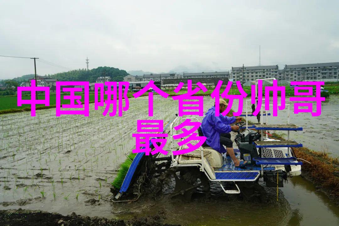 万人瞩目的孤独庆典