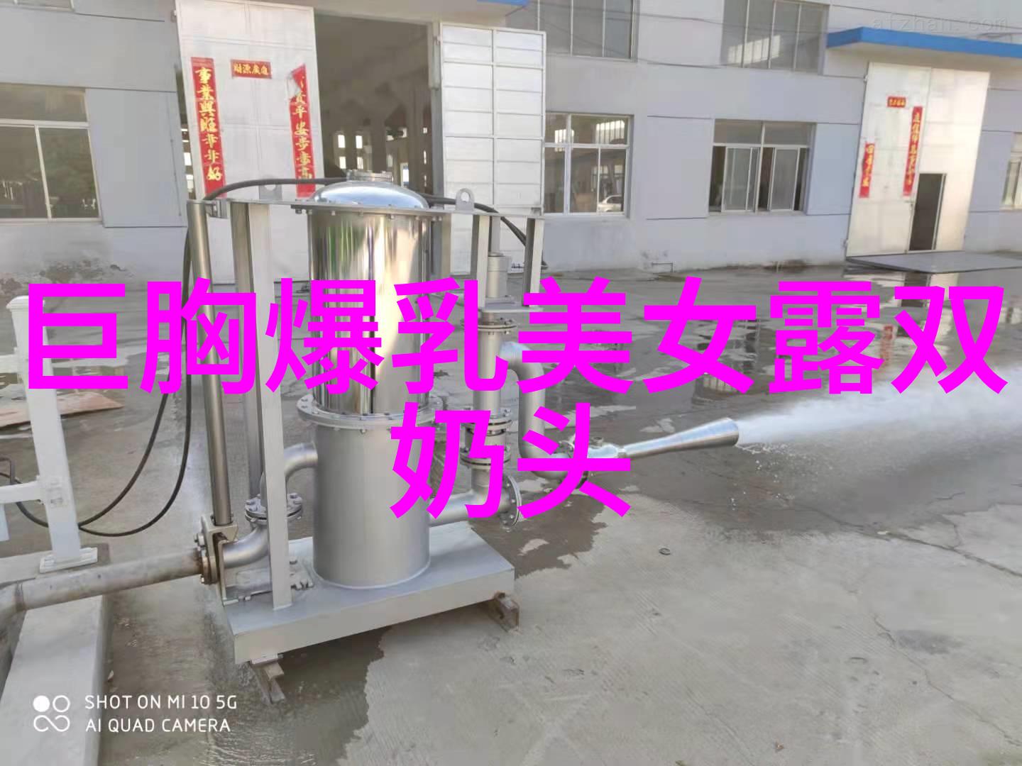 那达慕藏族的欢声笑语与雪域的宁静