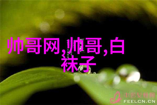 从线条到颜色解析卡通男生头像中体现的 masculinity