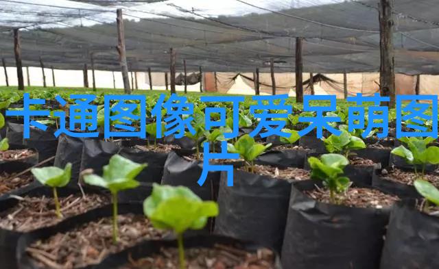 陈建斌为家乡新疆的棉花写小诗 周迅转发赞美