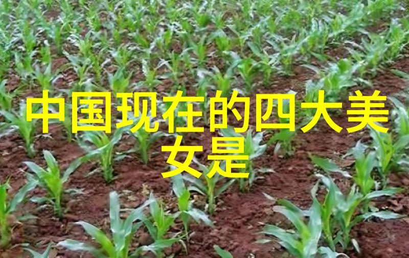 日常生活中的小物件变身为可爱图案的艺术品