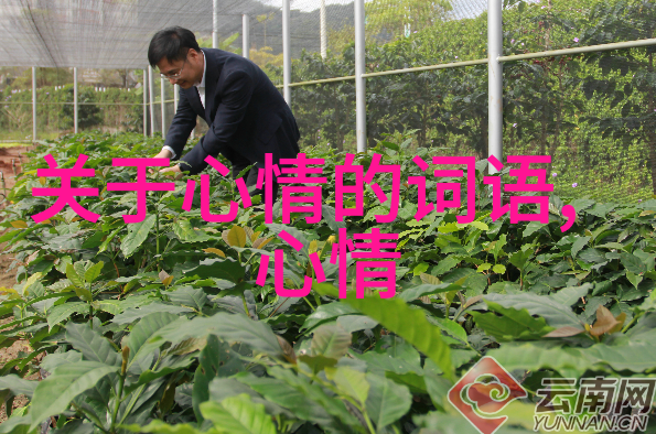微信搜索群聊技巧如何快速在微信中找到想要加入的群组
