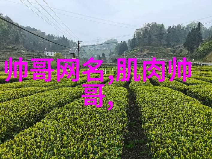 星光下的一场暗杀追忆被光明会消灭的影界巨星
