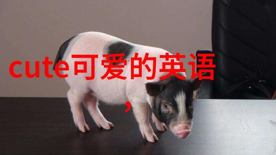 早安短句带给朋友圈温暖晨光初照的友情时刻