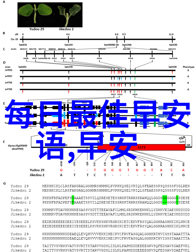 挽回-重燃爱火挽回关系的文本智慧