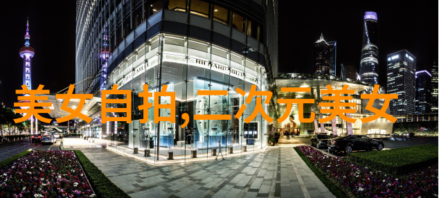 字典与学习-探索生僻字大全10000个深入了解罕见汉字的魅力