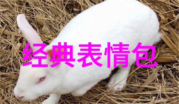 文字图片全画面里的故事与字里行间的诗