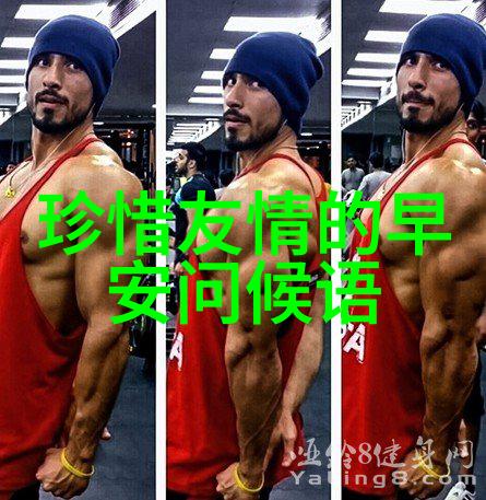 在拍摄过程中明星们经历了什么挑战和压力