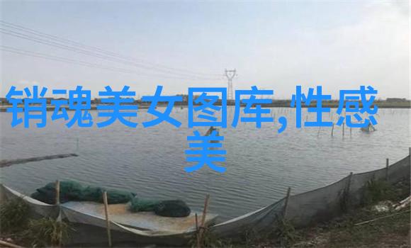 明星同乐会 - 星光璀璨的聚会之夜