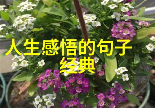 猫咪的秘密画室一幅未完成的故事