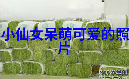 美女绳地狱我是如何被这群美女折磨到在地狱般的日子里