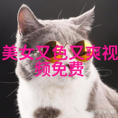 汉字学习宝典掌握常用汉字大全的秘诀