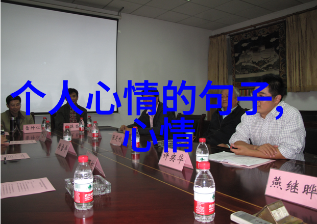 帕丽斯希尔顿否认与C罗拍拖