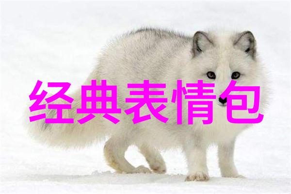 电影院的秘密偷中文字幕背后的故事