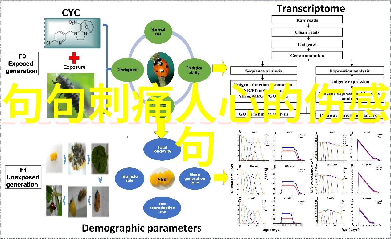 早安今天就让我们开启一天的笑声吧幽默早安语录
