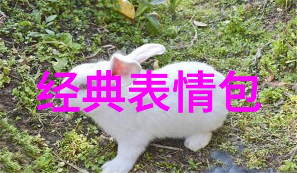 0秒吓死人的照片我怎么就没发现前面有条蛇