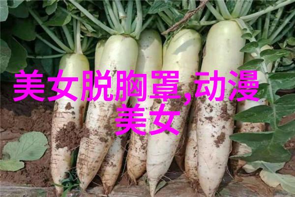 明星造梦MV免费视频观看我是如何在网上找到了超级热门的明星音乐录像带看的
