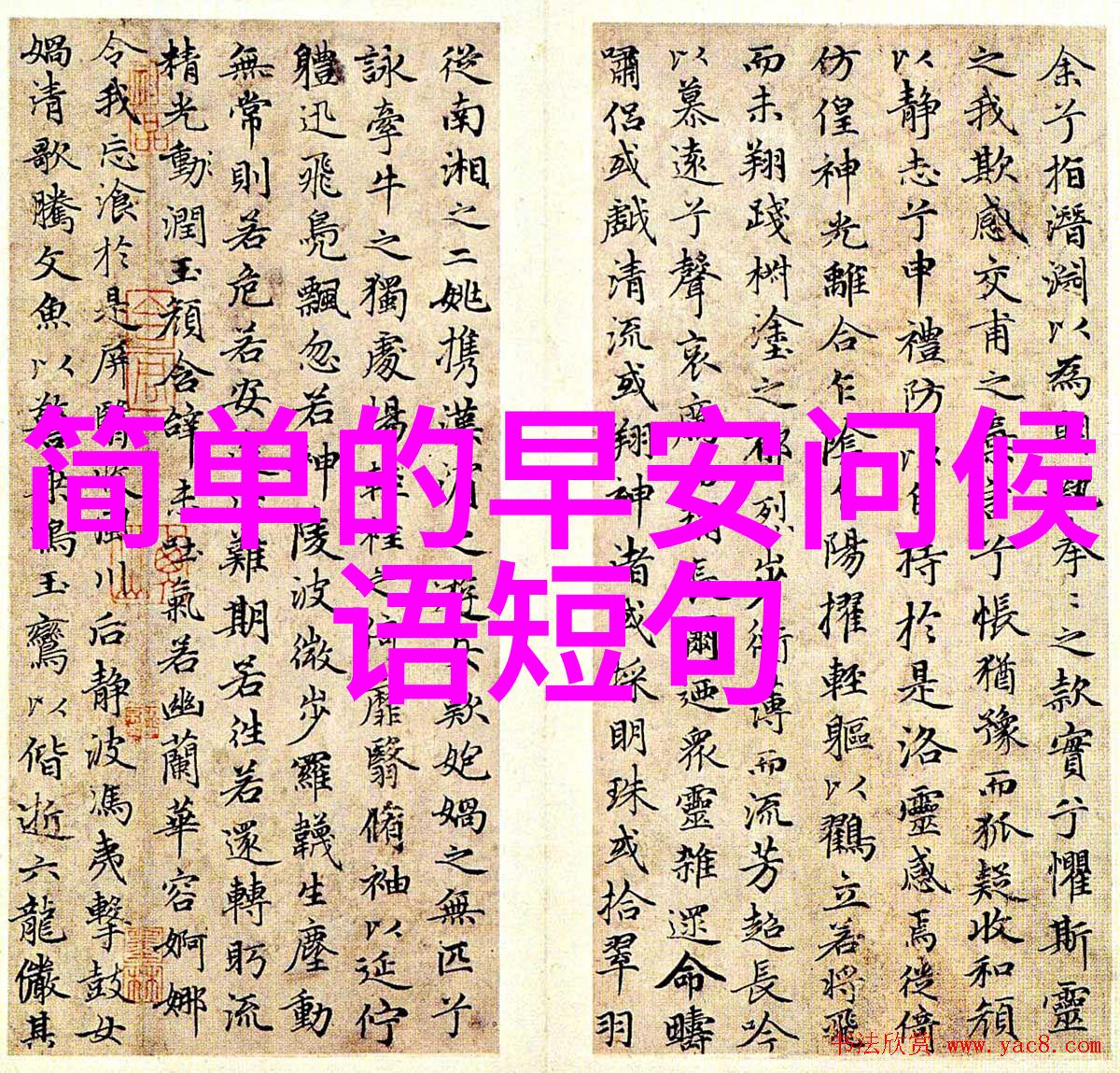 白族婚礼在传统上有哪些特殊仪式和习惯