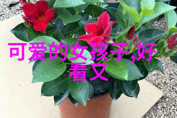 恐怖分子割女孩头的惨剧
