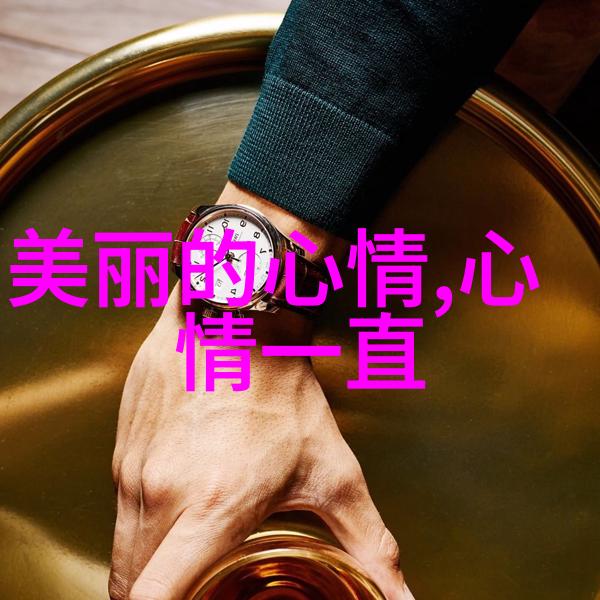 市长大粗事件引发公众不满民众呼吁政府改善管理机制